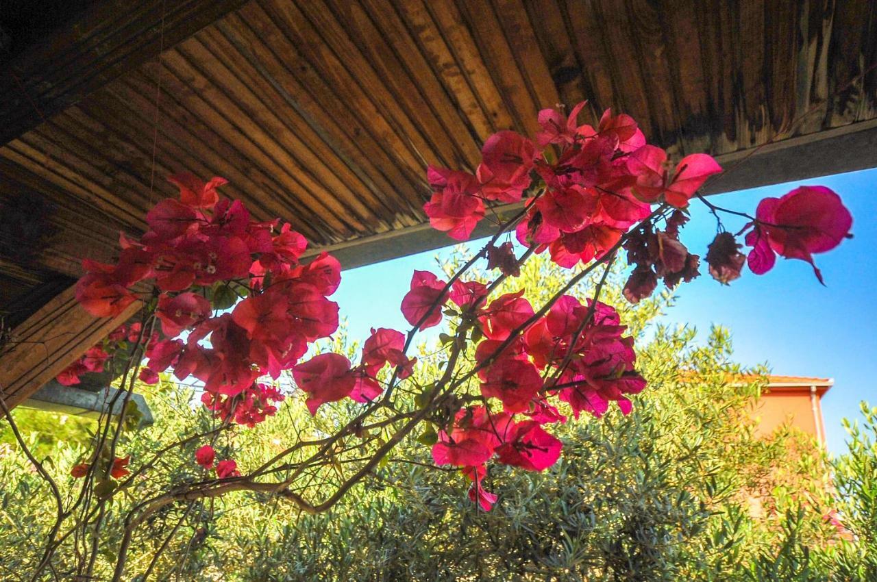 Villa Flamingo Dobra Voda Dış mekan fotoğraf